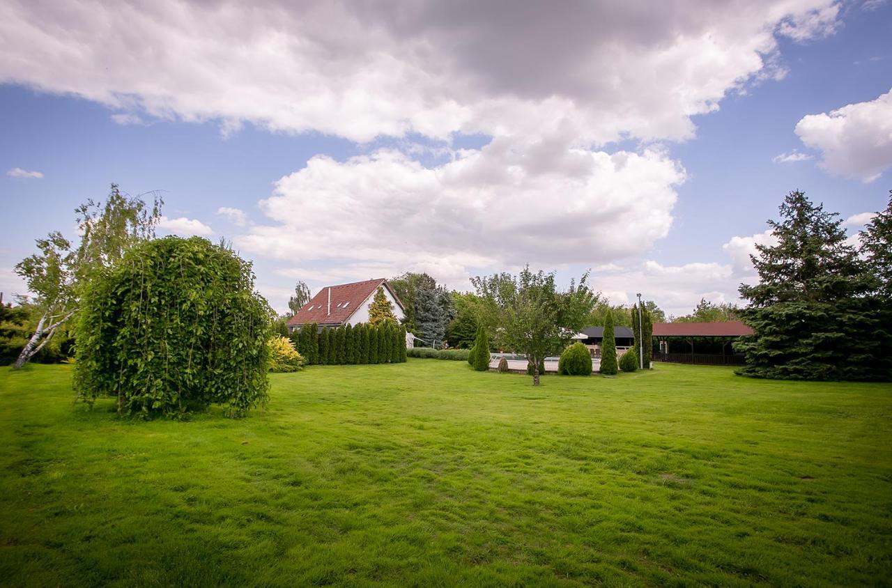 Forras Vendeghaz Villa Dunaegyhaza Bagian luar foto