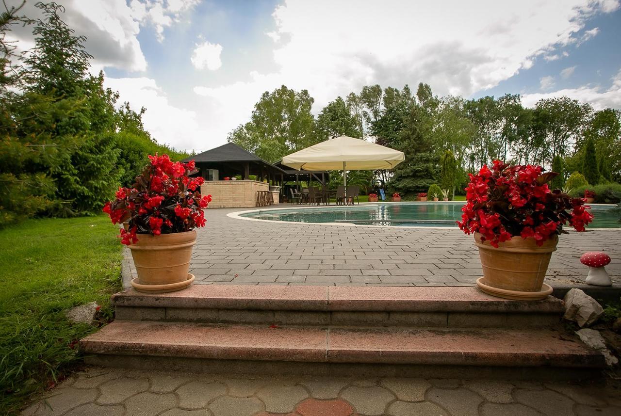Forras Vendeghaz Villa Dunaegyhaza Bagian luar foto