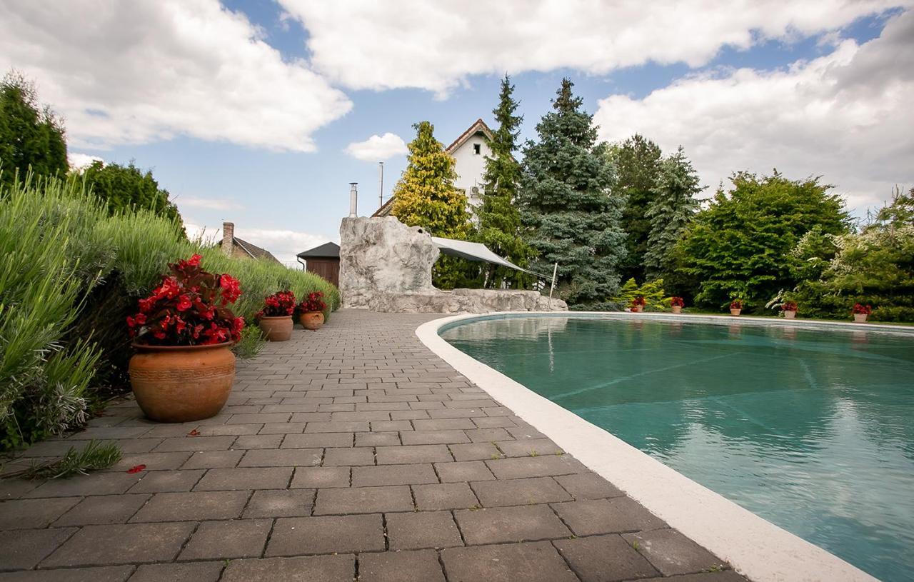 Forras Vendeghaz Villa Dunaegyhaza Bagian luar foto