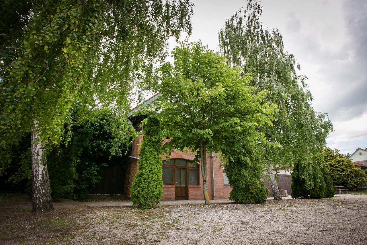 Forras Vendeghaz Villa Dunaegyhaza Bagian luar foto