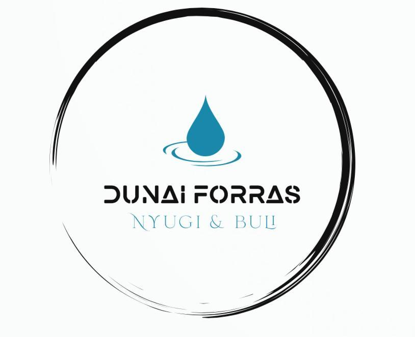 Forras Vendeghaz Villa Dunaegyhaza Bagian luar foto